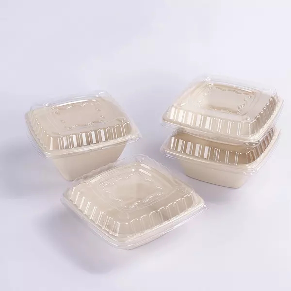 Bagasse plazako katilua