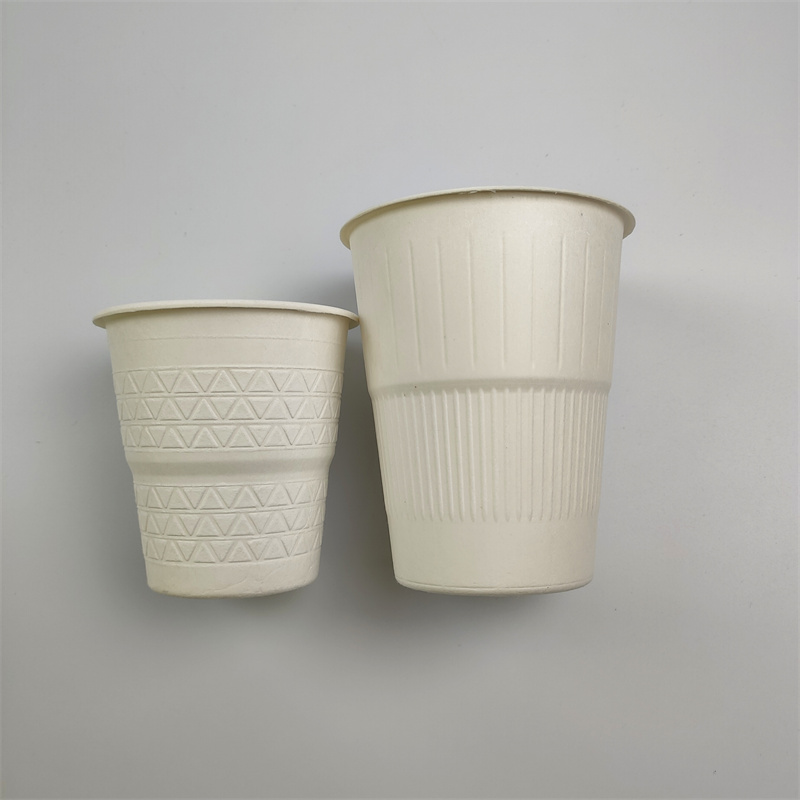 Sugarcane Pulp Cups